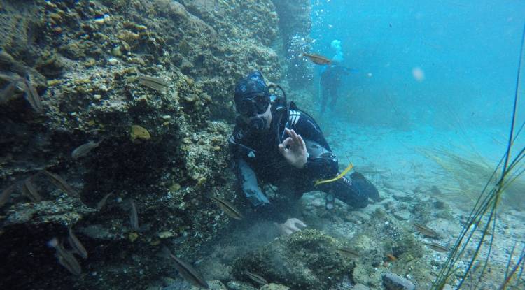 Sakarya'nın Harikalar Diyarı; Çifteler(Sakaryabaşı)