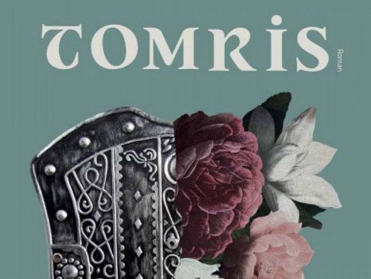 Bir inceleme: Doğan Kitap'tan TOMRİS