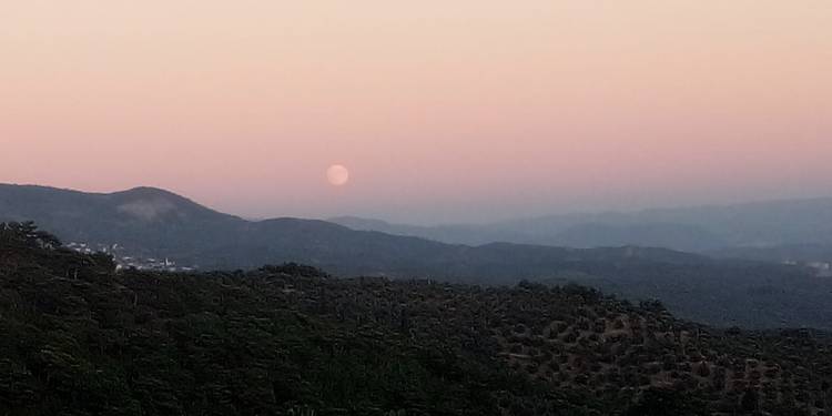 Sarıkız - Kaz Dağı