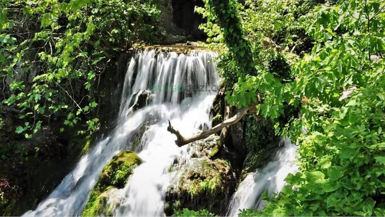 Leziz Sular Diyarı; Ayva Köy