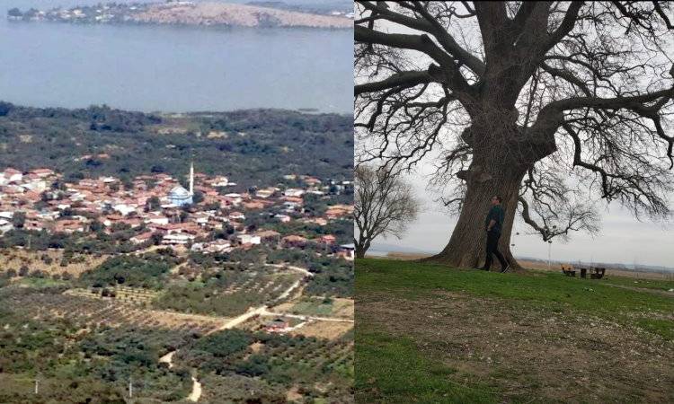 Uluabad'ın Fazileti; Fadıllı Köyü
