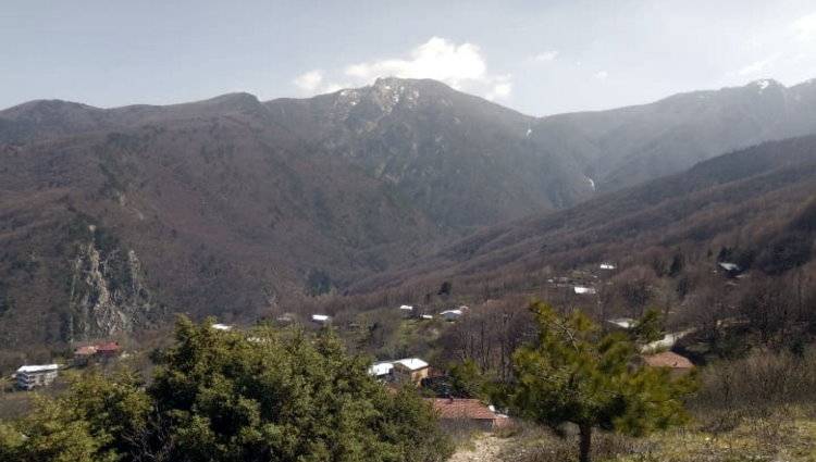Çalıkuşu'nun yuvası ; Zeyniler